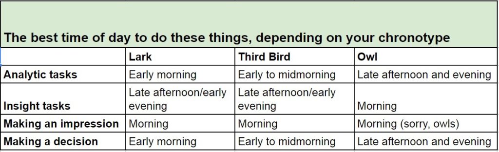 chronotype when chart